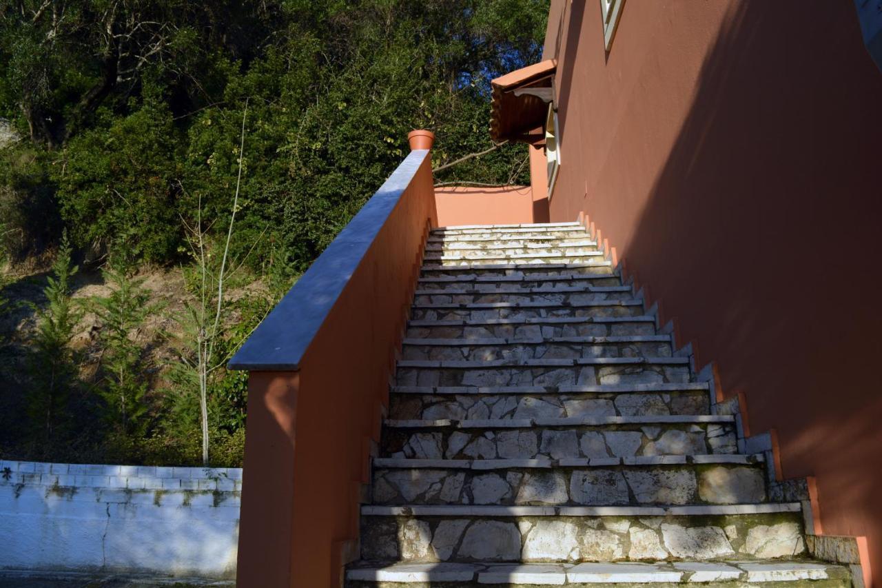 Papadatos Apts With Amazing View - 5Mins From The Beach Kontogialos Exterior foto